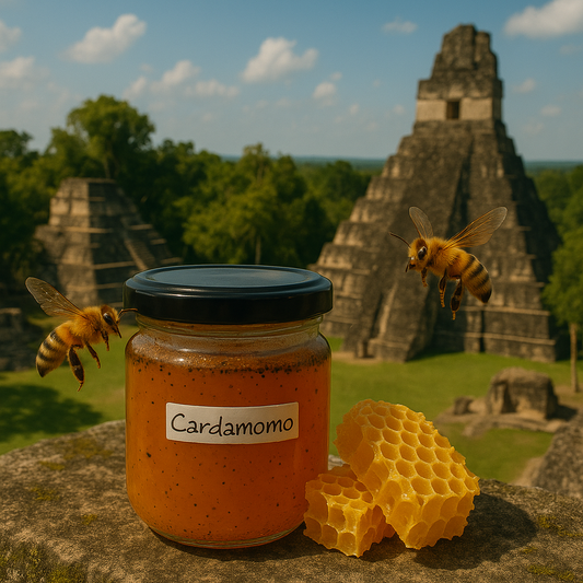 Cardamom Honey Elixir – Guatemalan Raw Honey with Cardamom Pods
